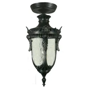 Wellington Small Outdoor Under Eave, Antique Black by Lighting Inspirations, a Fixed Lights for sale on Style Sourcebook
