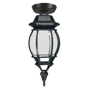 Flinders Small IP44 Outdoor Under Eave, Antique Black by Lighting Inspirations, a Lamps for sale on Style Sourcebook