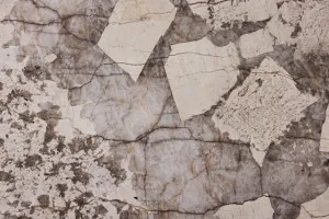 Patagonia Quartzite by Natroccia® Natural Stone, a Quartzite for sale on Style Sourcebook