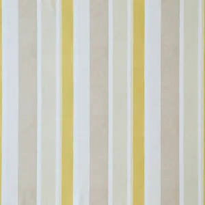 Celia Maize by Ashley Wilde, a Fabrics for sale on Style Sourcebook