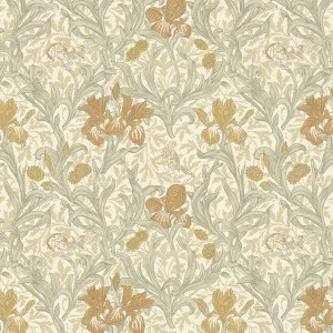Iris Honey by William Morris at Home, a Fabrics for sale on Style Sourcebook