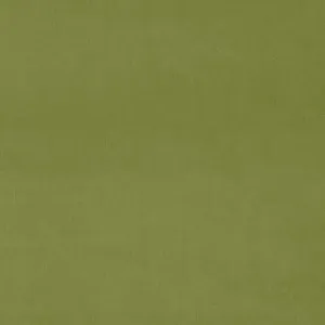 LF3838CFR Omega 35 Lime by Linwood, a Fabrics for sale on Style Sourcebook