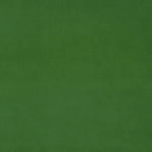 LF3838CFR Omega 148 Parakeet by Linwood, a Fabrics for sale on Style Sourcebook