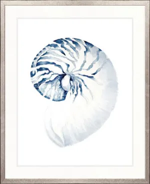 Exquisite Shell II (Indigo) by Designer Boys, a Premium Art for sale on Style Sourcebook