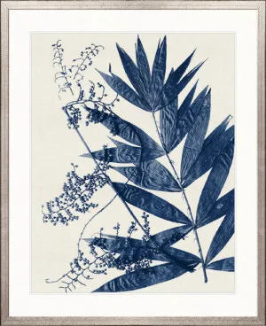 Delicate Frond VI (Indigo) by Designer Boys, a Premium Art for sale on Style Sourcebook