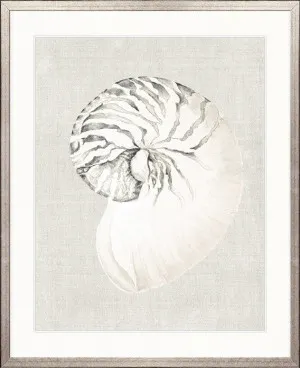 Shell on Linen II by Designer Boys, a Premium Art for sale on Style Sourcebook