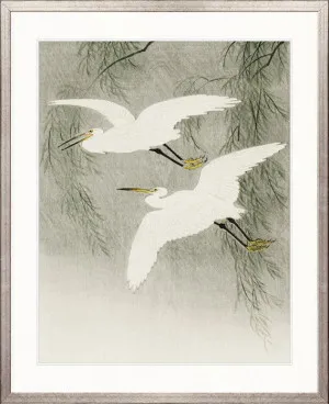 Naoko Bird V by Designer Boys, a Premium Art for sale on Style Sourcebook