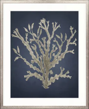 Coral Curiosity II by Designer Boys, a Premium Art for sale on Style Sourcebook