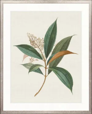 Floral Elegance I by Designer Boys, a Premium Art for sale on Style Sourcebook