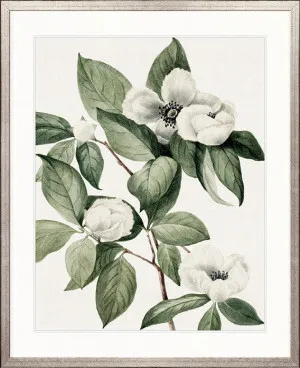 Phillipson Floral XI by Designer Boys, a Premium Art for sale on Style Sourcebook