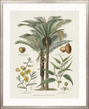 Tropicano Delight II by Designer Boys, a Premium Art for sale on Style Sourcebook