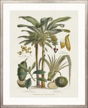 Tropicano Delight I by Designer Boys, a Premium Art for sale on Style Sourcebook