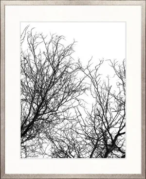 Tree Silhouette I by Designer Boys, a Premium Art for sale on Style Sourcebook