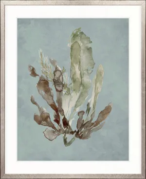 Margate Coral III by Designer Boys, a Premium Art for sale on Style Sourcebook