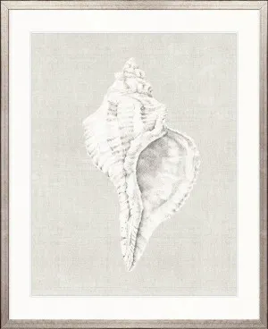 Shell on Linen V by Designer Boys, a Premium Art for sale on Style Sourcebook