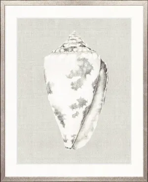 Shell on Linen I by Designer Boys, a Premium Art for sale on Style Sourcebook