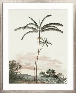Vintage Palm Study IV by Designer Boys, a Premium Art for sale on Style Sourcebook
