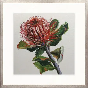 Australian Native IV by Designer Boys, a Premium Art for sale on Style Sourcebook