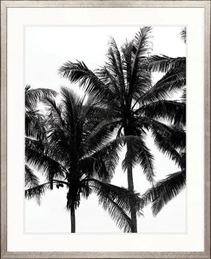 Palm Silhouette III by Designer Boys, a Premium Art for sale on Style Sourcebook