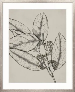 Maiden Beauty I by Designer Boys, a Premium Art for sale on Style Sourcebook