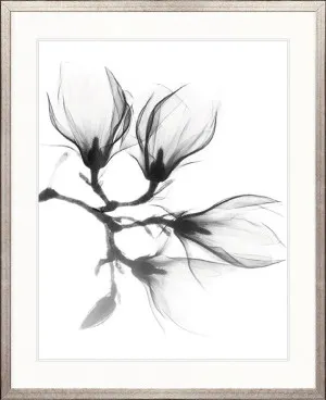 Mercer Black & White XXVI by Designer Boys, a Premium Art for sale on Style Sourcebook