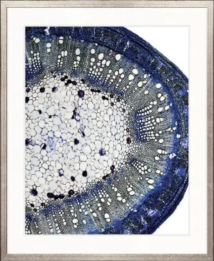 Nature's Abstract III by Designer Boys, a Premium Art for sale on Style Sourcebook