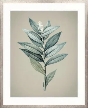 Kettering Foliage V by Designer Boys, a Premium Art for sale on Style Sourcebook
