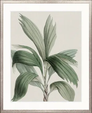 Bellevardi Tropic II by Designer Boys, a Premium Art for sale on Style Sourcebook