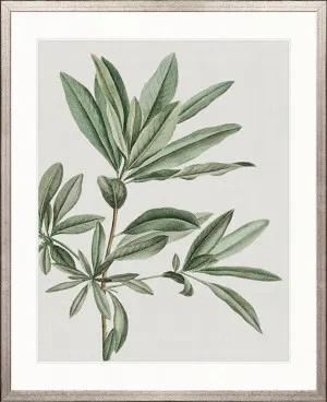 Bellevardi Tropic I by Designer Boys, a Premium Art for sale on Style Sourcebook