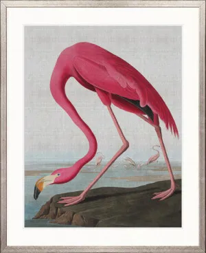 Exquisite Bird III by Designer Boys, a Premium Art for sale on Style Sourcebook