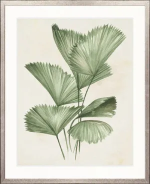 Soft Anaya Palm II by Designer Boys, a Premium Art for sale on Style Sourcebook