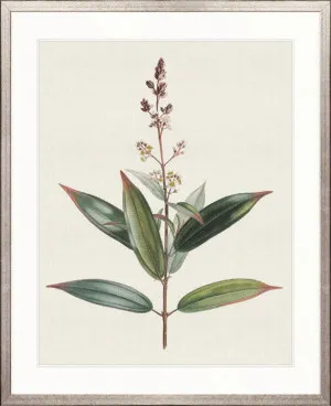 Floral Elegance VI by Designer Boys, a Premium Art for sale on Style Sourcebook