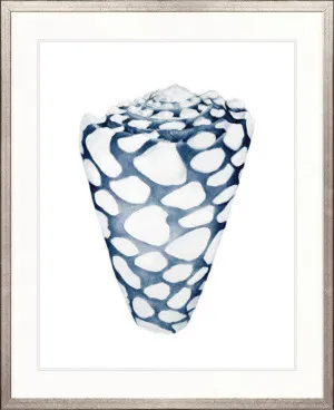 Exquisite Shell VI (Indigo) by Designer Boys, a Premium Art for sale on Style Sourcebook