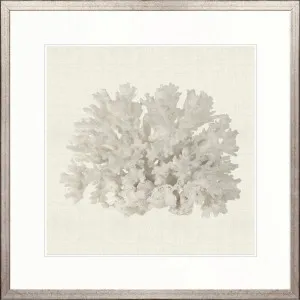 Fanciful Coral III by Designer Boys, a Premium Art for sale on Style Sourcebook