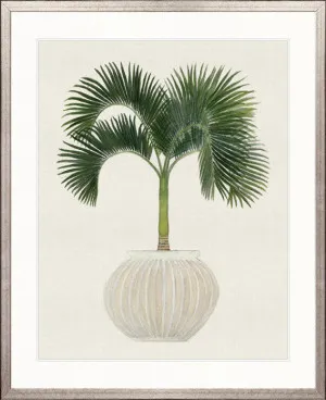 Palm Beauty VI by Designer Boys, a Premium Art for sale on Style Sourcebook