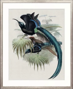 Birds in Paradise II by Designer Boys, a Premium Art for sale on Style Sourcebook