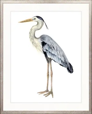 Watercolour Sea Bird III by Designer Boys, a Premium Art for sale on Style Sourcebook
