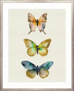 Butterfly Trio VI by Designer Boys, a Premium Art for sale on Style Sourcebook