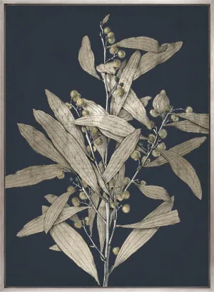 Botanical Etching I (Canvas) by Designer Boys, a Premium Art for sale on Style Sourcebook