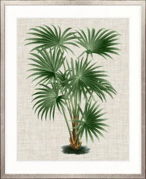 St Aman Palm V by Designer Boys, a Premium Art for sale on Style Sourcebook