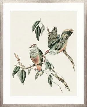 Shildon Birds VI by Designer Boys, a Premium Art for sale on Style Sourcebook