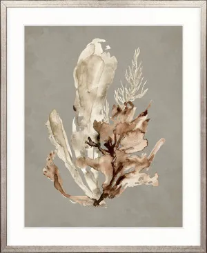 Margate Coral IV by Designer Boys, a Premium Art for sale on Style Sourcebook