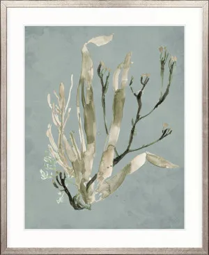 Margate Coral II by Designer Boys, a Premium Art for sale on Style Sourcebook
