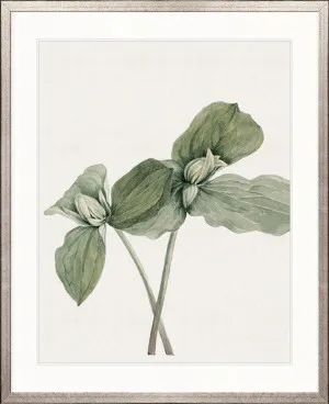 Phillipson Floral X by Designer Boys, a Premium Art for sale on Style Sourcebook