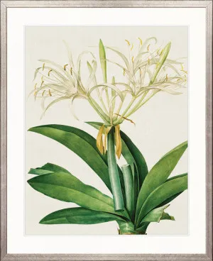 Lush Tropic VII by Designer Boys, a Premium Art for sale on Style Sourcebook