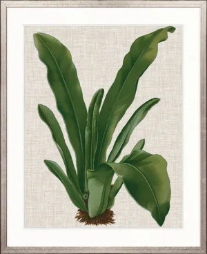 Tropical Evergreen IV by Designer Boys, a Premium Art for sale on Style Sourcebook