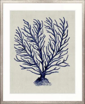 Coral SPLENDOUR (Indigo) XII by Designer Boys, a Premium Art for sale on Style Sourcebook