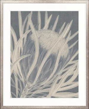 Protea Silhouette II by Designer Boys, a Premium Art for sale on Style Sourcebook
