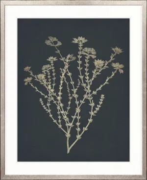 Luxe Foliage III by Designer Boys, a Premium Art for sale on Style Sourcebook