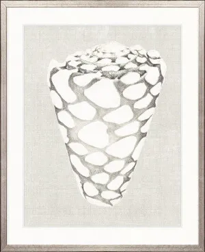 Shell on Linen III by Designer Boys, a Premium Art for sale on Style Sourcebook